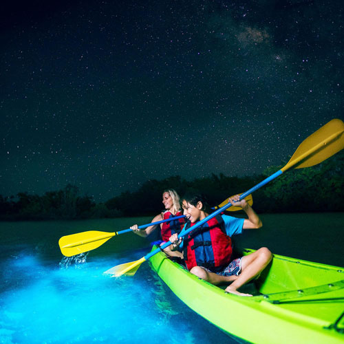 Bioluminescent Bay, St. Croix, USVI