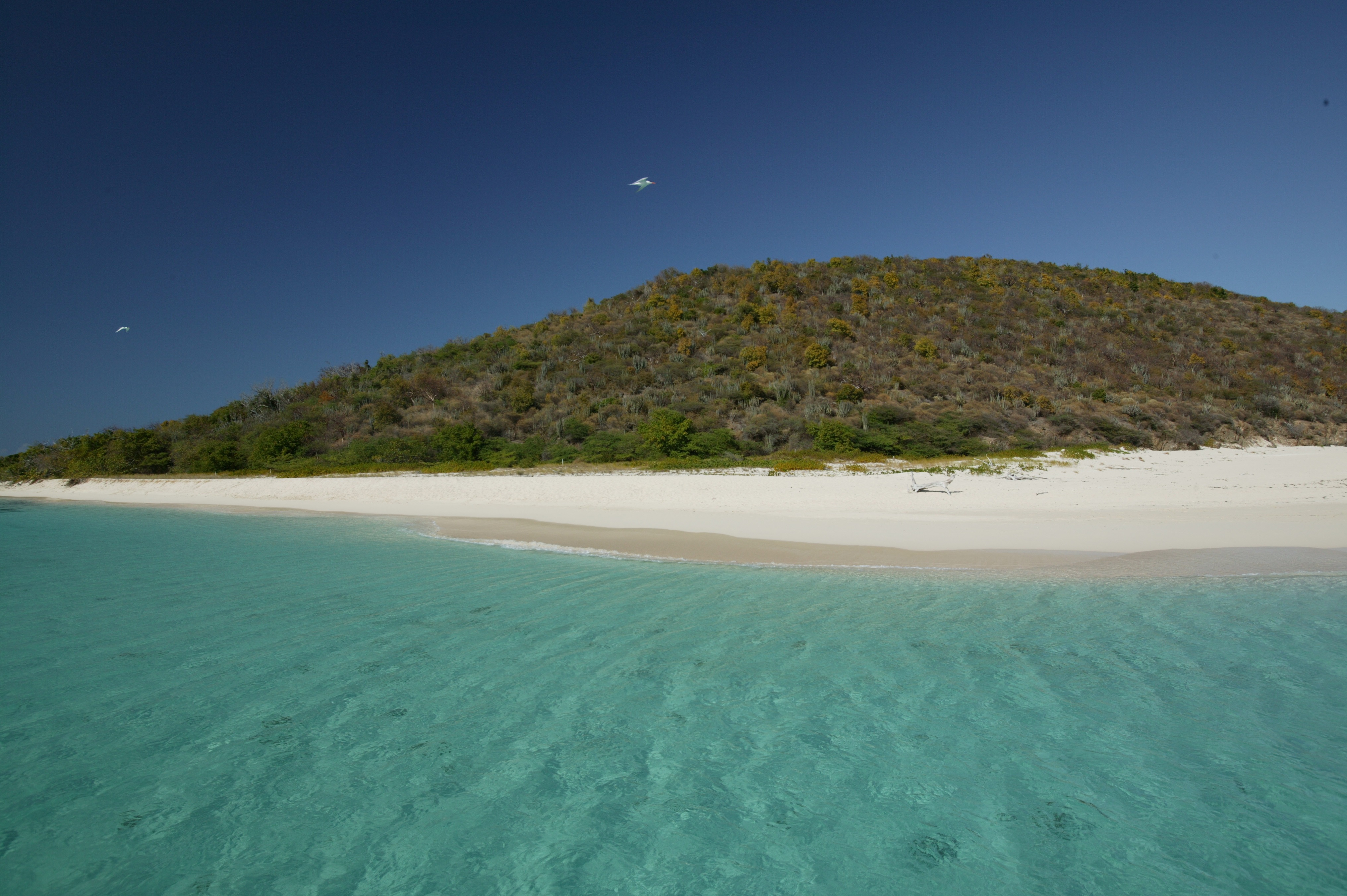 Private Buck Island Charter